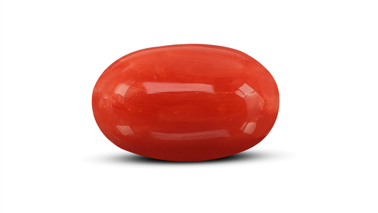 Natural Italian Red Coral (Moonga) 10.82 Carats