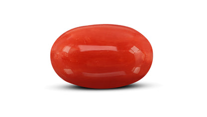 Natural Italian Red Coral (Moonga) 10.82 Carats