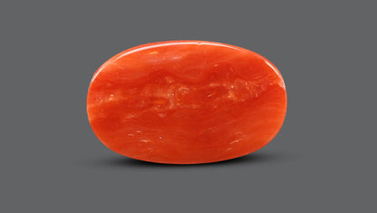 Natural Italian Red Coral (Moonga) 10.36 Carats