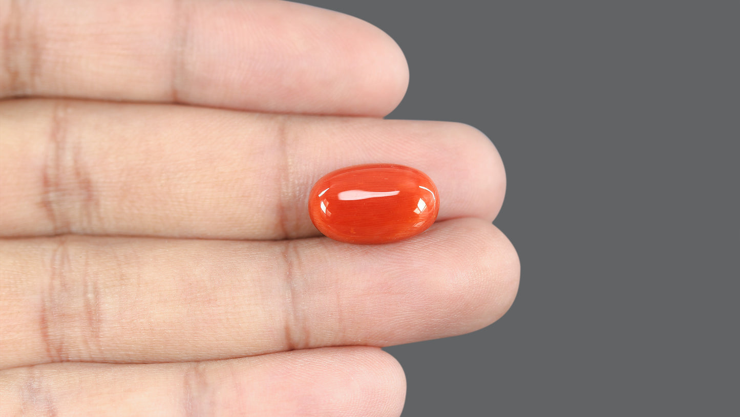 Natural Italian Red Coral (Moonga) 10.36 Carats