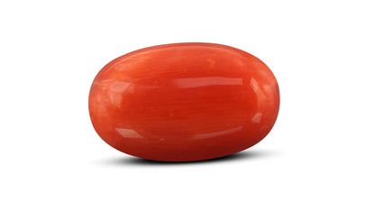 Natural Italian Red Coral (Moonga) 10.36 Carats
