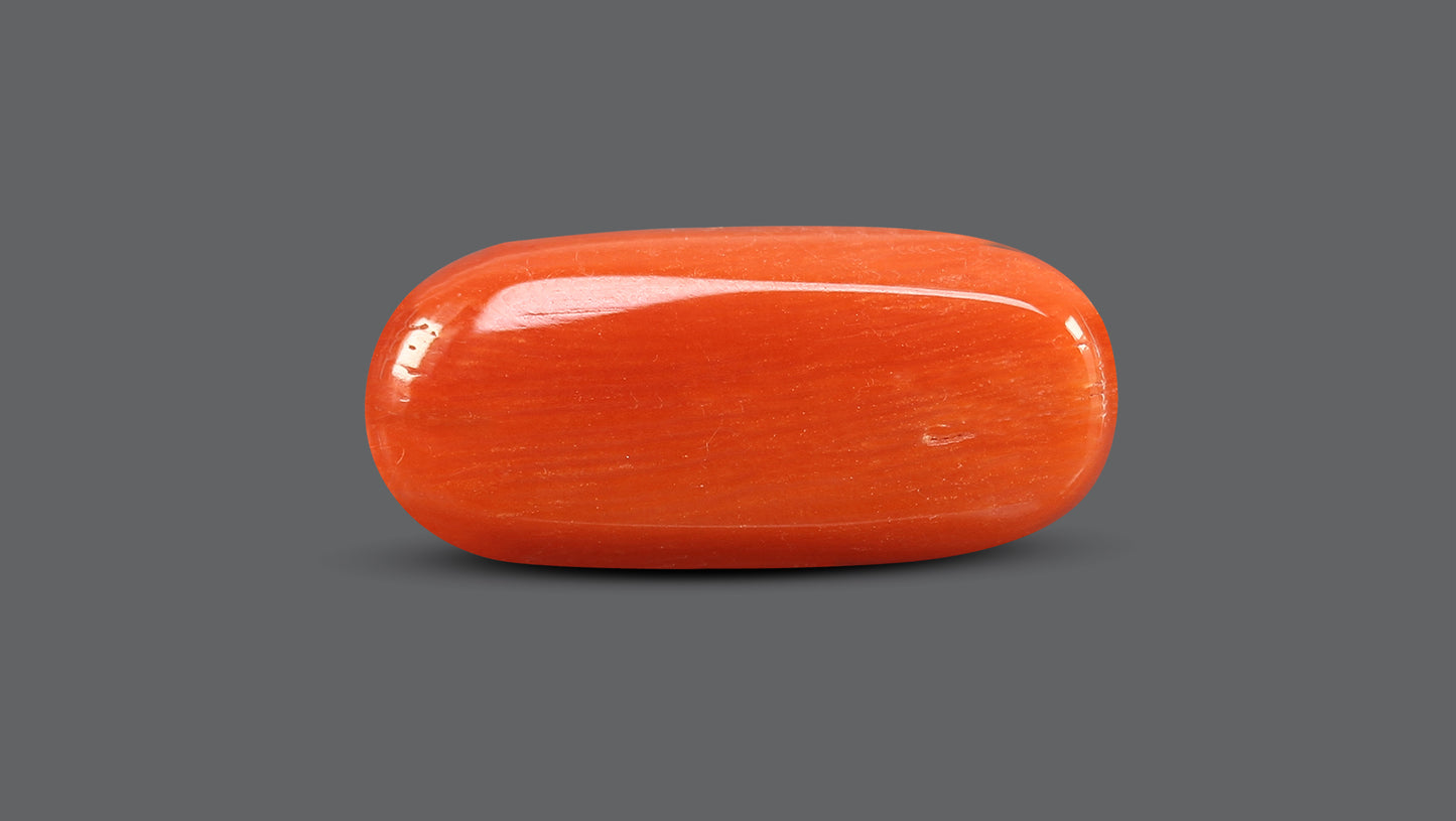 Natural Italian Red Coral (Moonga) 10.51 Carats