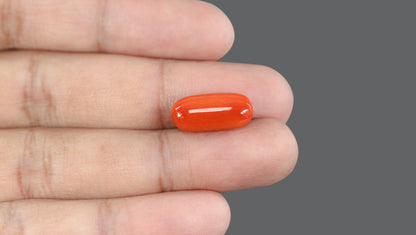 Natural Italian Red Coral (Moonga) 10.51 Carats