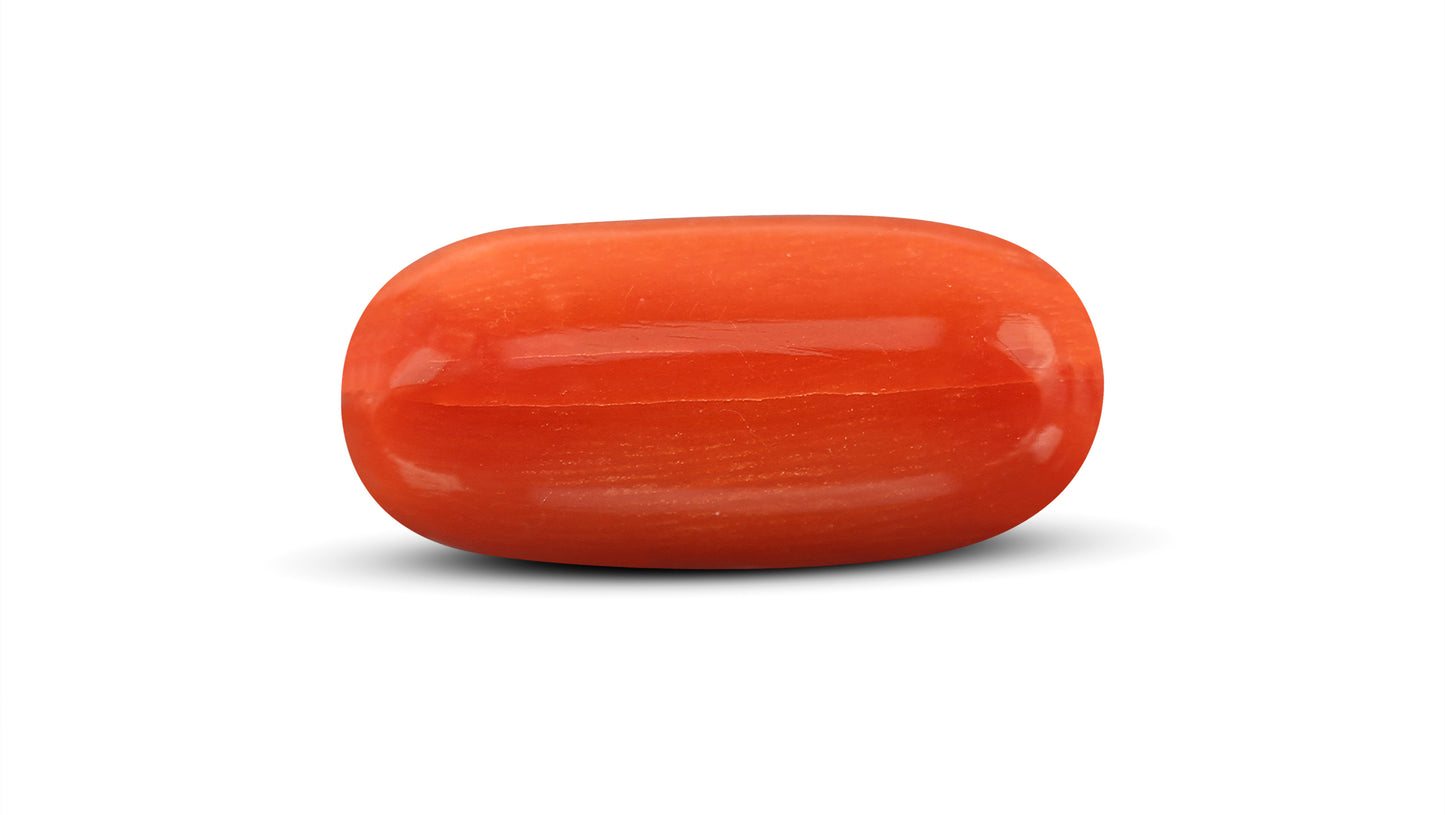 Natural Italian Red Coral (Moonga) 10.51 Carats