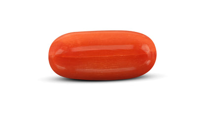 Natural Italian Red Coral (Moonga) 10.51 Carats