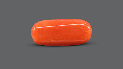 Natural Italian Red Coral (Moonga) 10.90 Carats