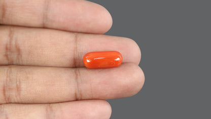Natural Italian Red Coral (Moonga) 10.90 Carats