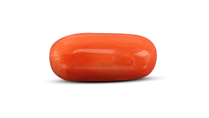 Natural Italian Red Coral (Moonga) 10.90 Carats