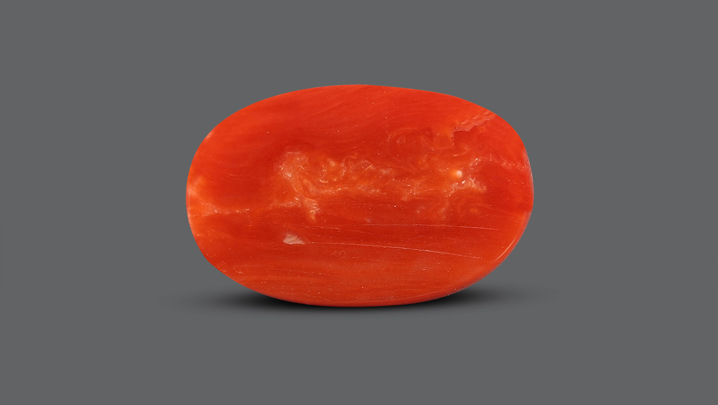 Natural Italian Red Coral (Moonga) 10.54 Carats