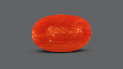 Natural Italian Red Coral (Moonga) 10.54 Carats