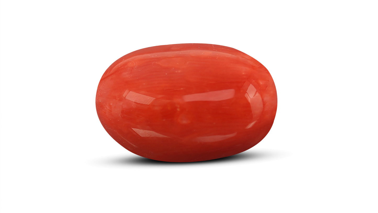 Natural Italian Red Coral (Moonga) 10.54 Carats