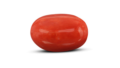 Natural Italian Red Coral (Moonga) 10.54 Carats
