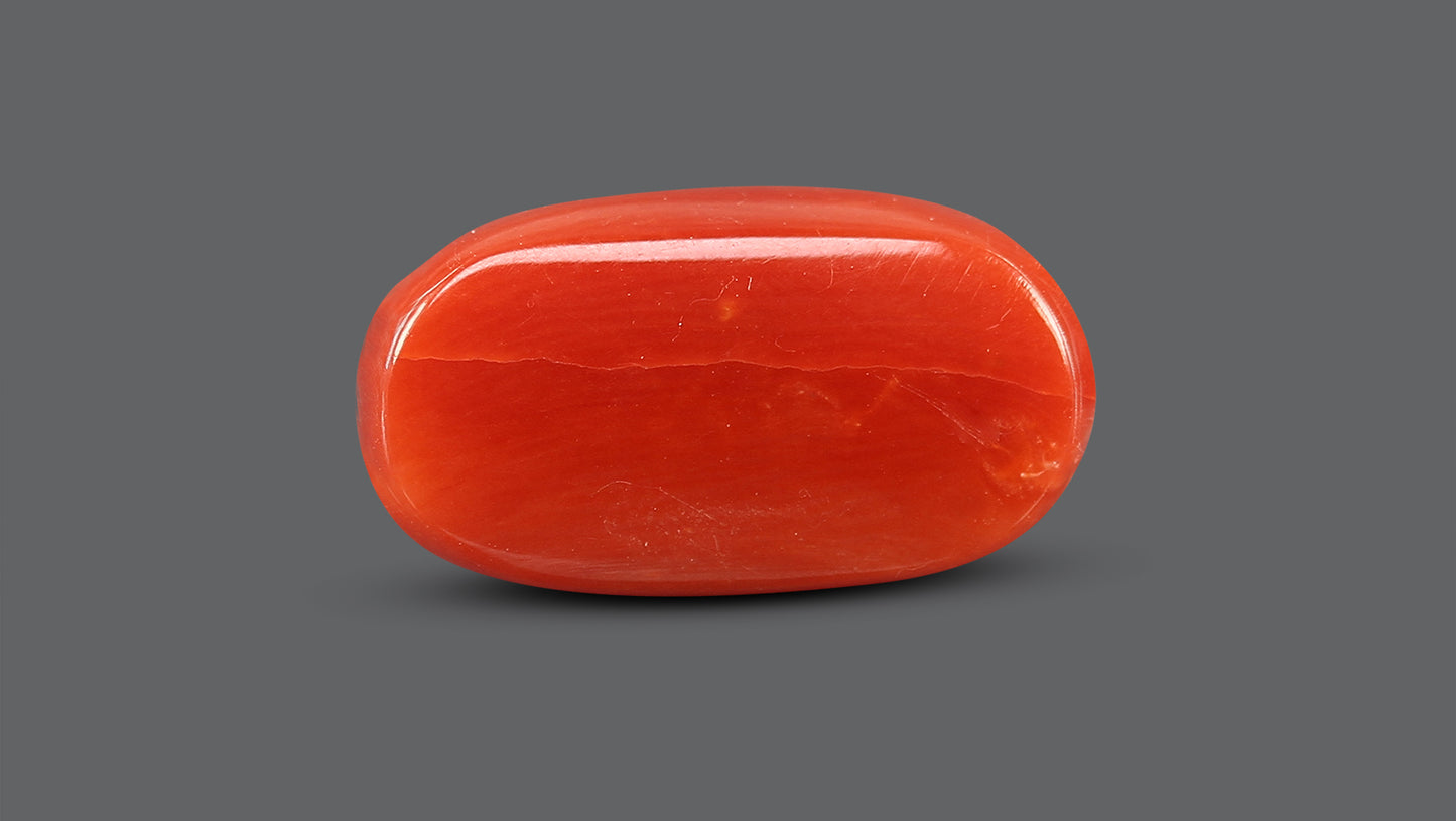 Natural Italian Red Coral (Moonga) 10.05 Carats
