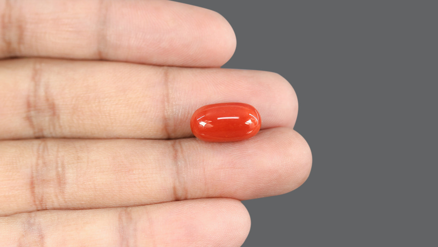 Natural Italian Red Coral (Moonga) 10.05 Carats