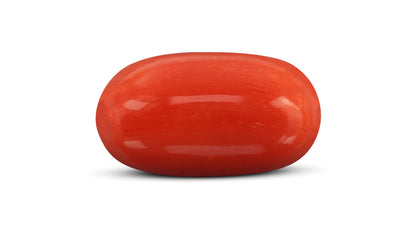 Natural Italian Red Coral (Moonga) 10.05 Carats