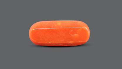 Natural Italian Red Coral (Moonga) 10.14 Carats