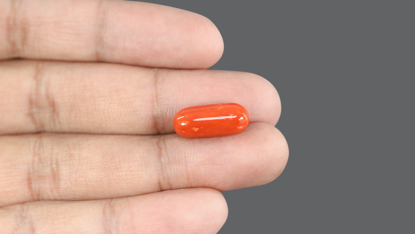 Natural Italian Red Coral (Moonga) 10.14 Carats