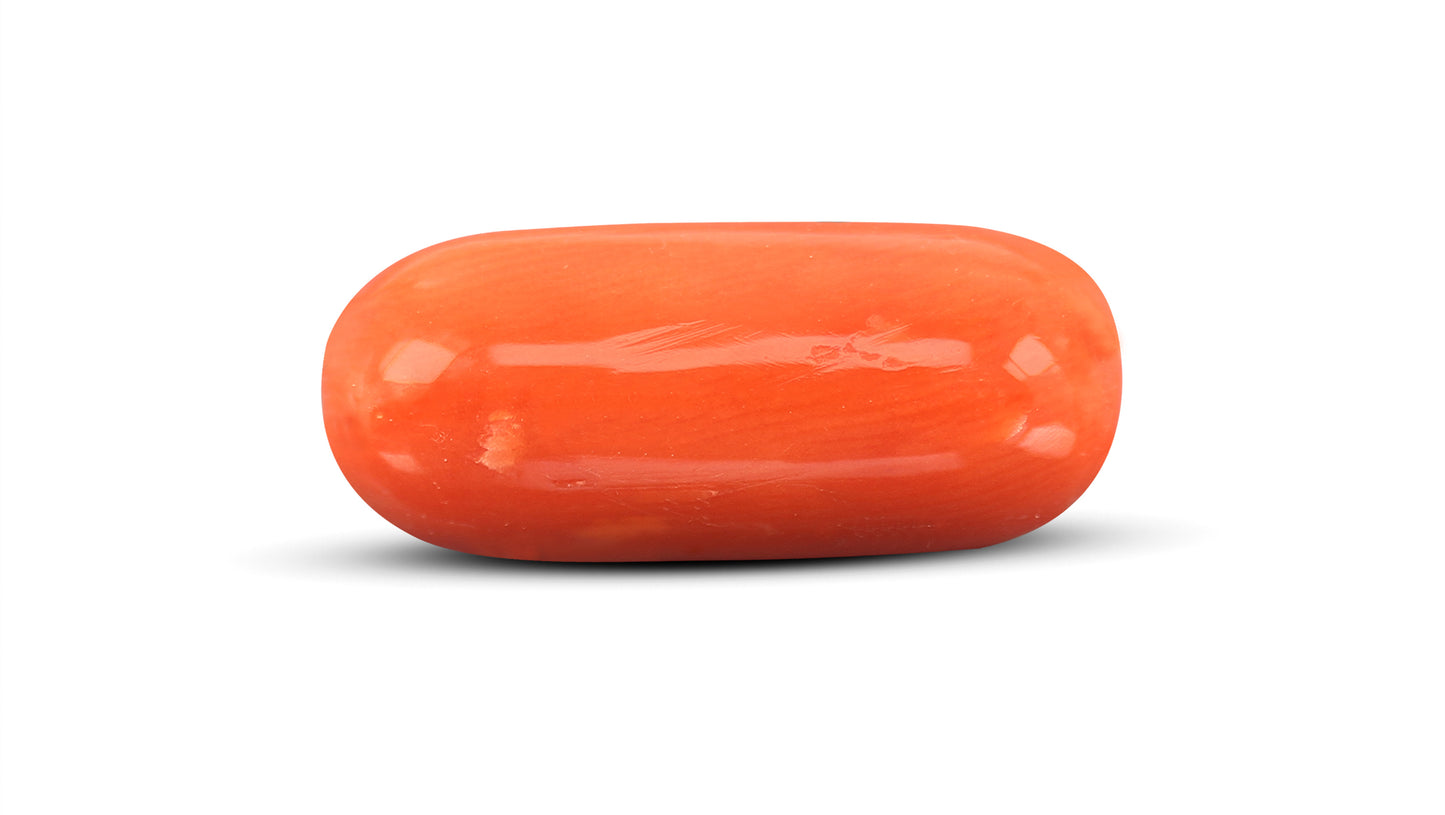 Natural Italian Red Coral (Moonga) 10.14 Carats