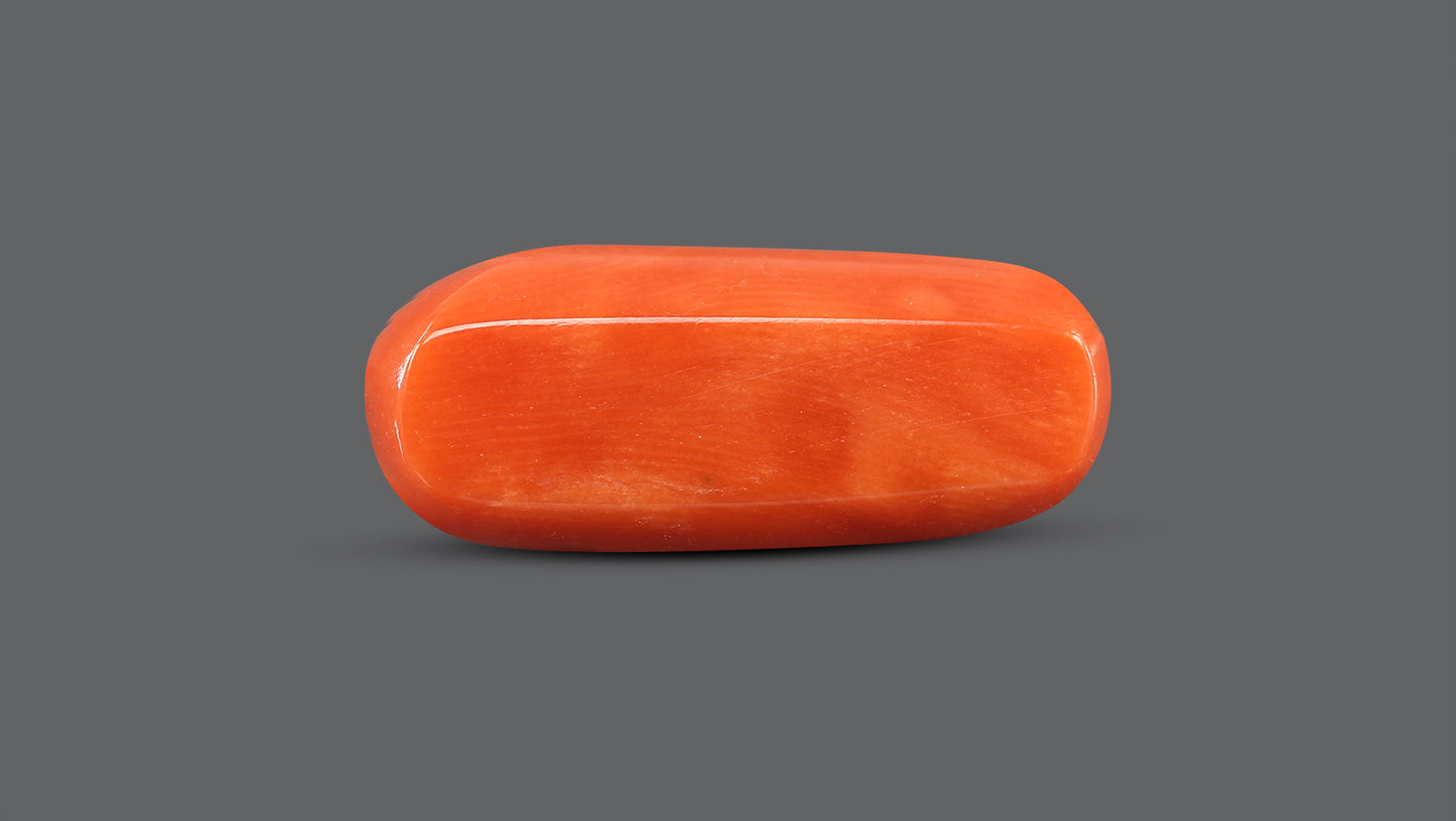 Natural Italian Red Coral (Moonga) 10.31 Carats