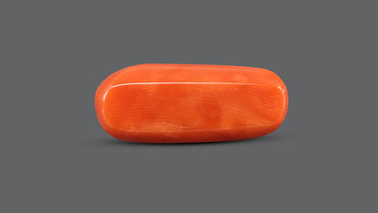 Natural Italian Red Coral (Moonga) 10.31 Carats
