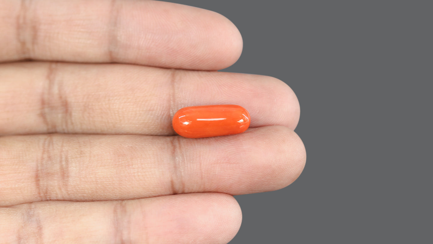Natural Italian Red Coral (Moonga) 10.31 Carats
