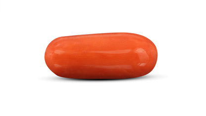 Natural Italian Red Coral (Moonga) 10.31 Carats