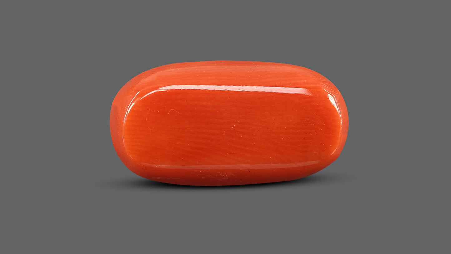 Natural Italian Red Coral (Moonga) 9.83 Carats