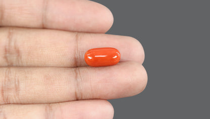 Natural Italian Red Coral (Moonga) 9.83 Carats