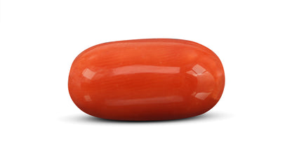 Natural Italian Red Coral (Moonga) 9.83 Carats