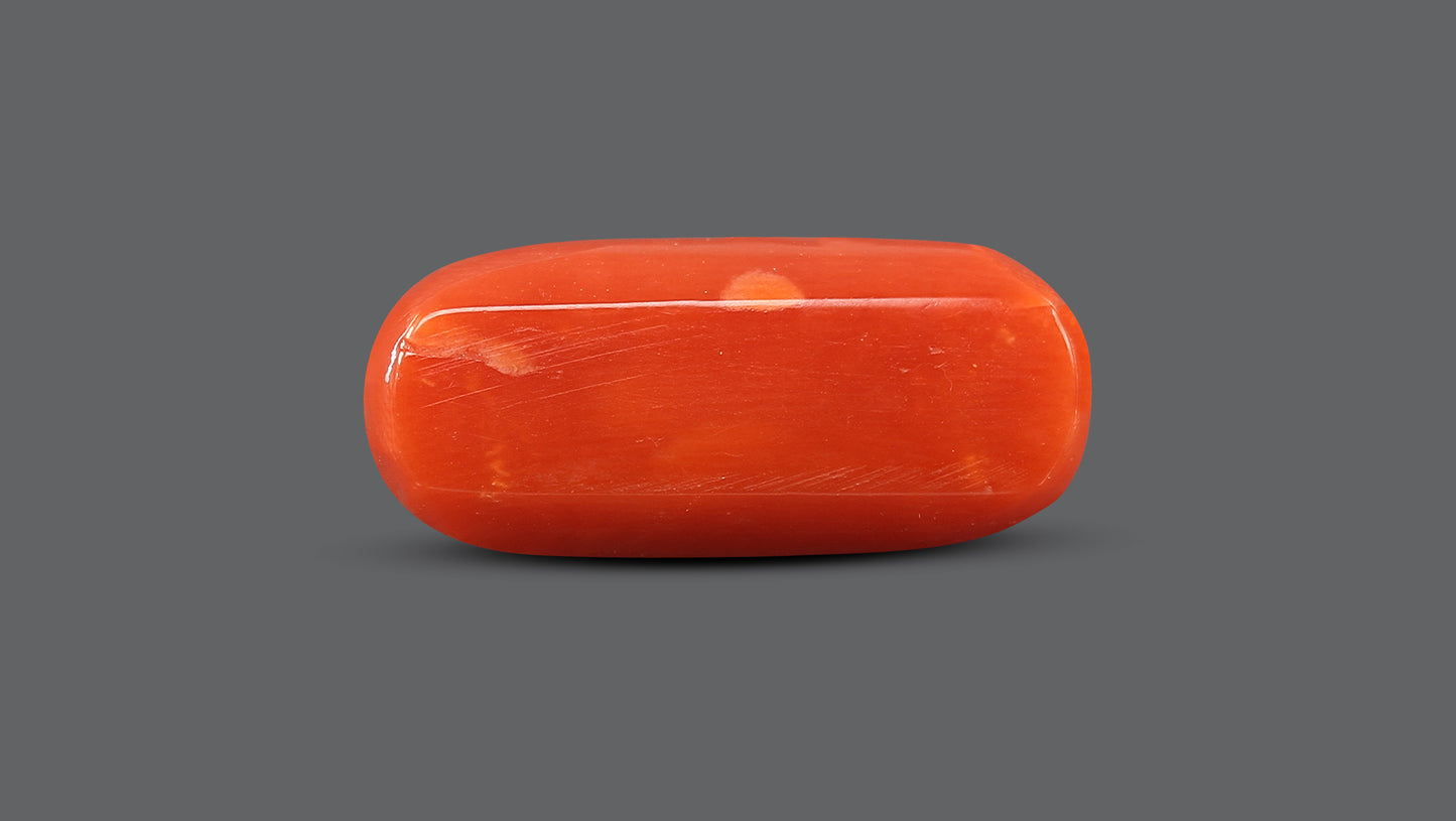 Natural Italian Red Coral (Moonga) 9.79 Carats