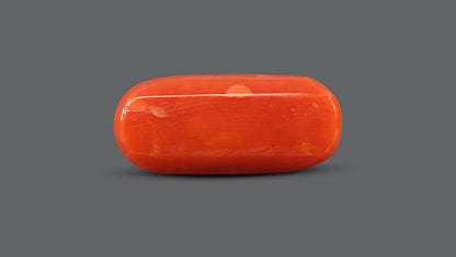 Natural Italian Red Coral (Moonga) 9.79 Carats