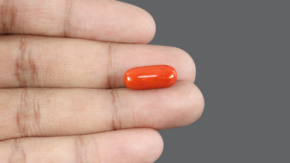 Natural Italian Red Coral (Moonga) 9.79 Carats