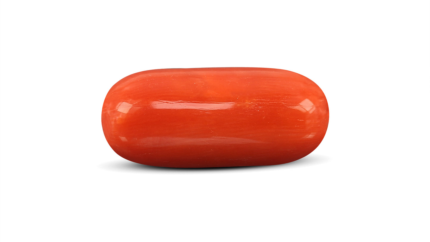 Natural Italian Red Coral (Moonga) 9.79 Carats
