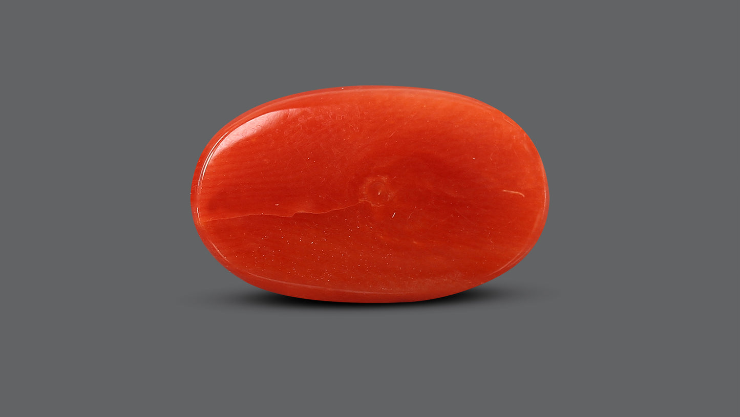 Natural Italian Red Coral (Moonga) 9.81 Carats