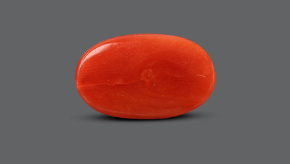 Natural Italian Red Coral (Moonga) 9.81 Carats
