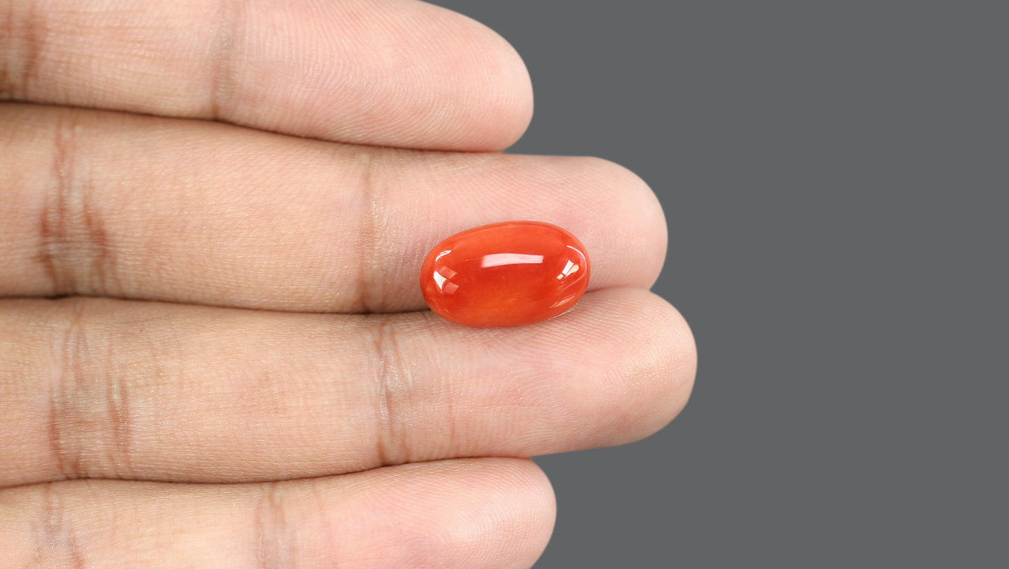 Natural Italian Red Coral (Moonga) 9.81 Carats
