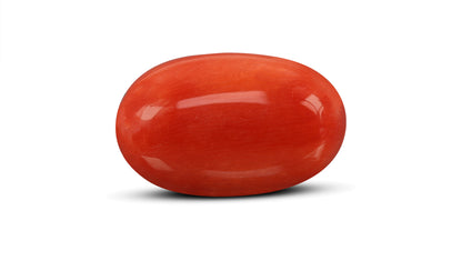 Natural Italian Red Coral (Moonga) 9.81 Carats