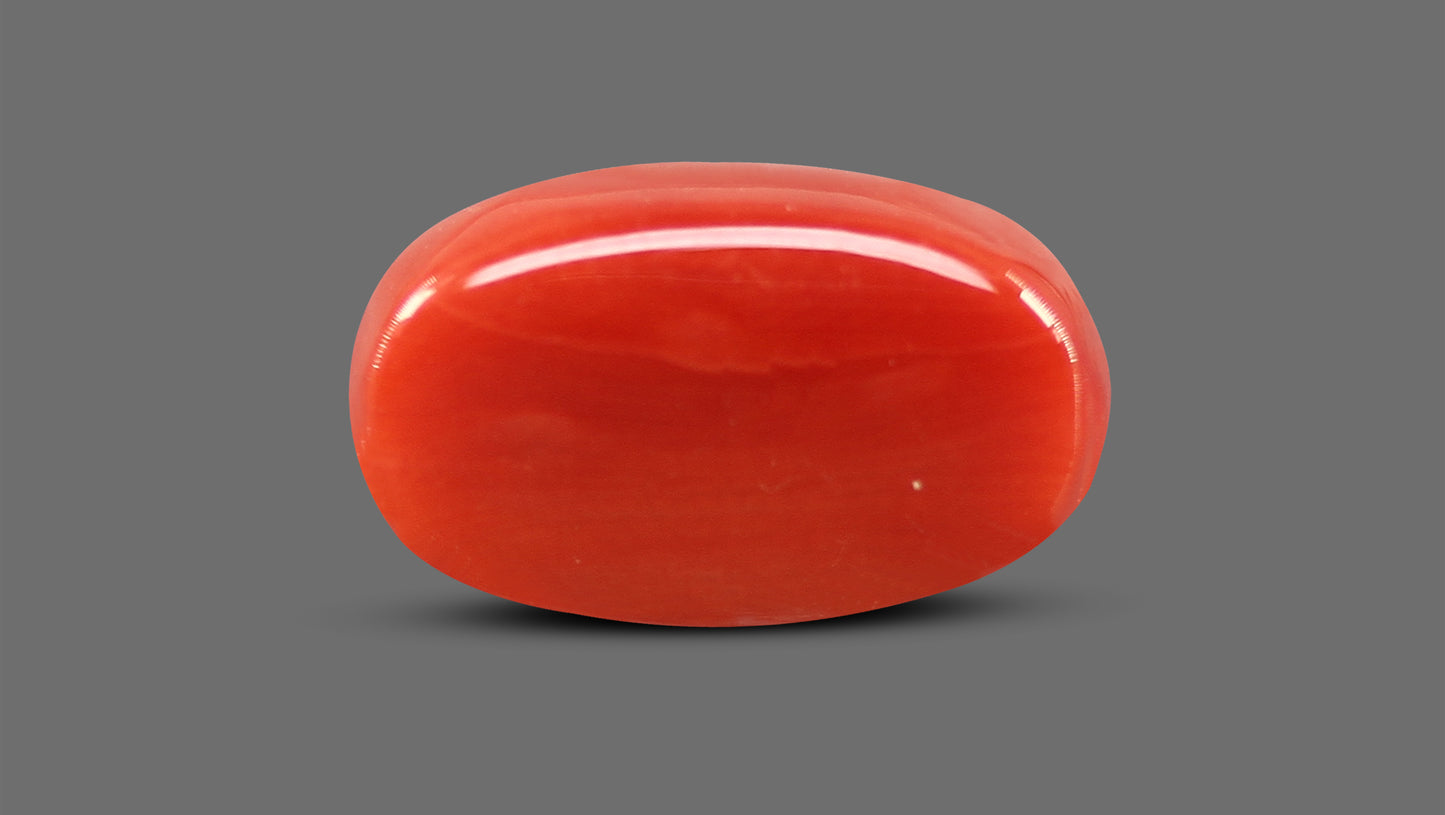 Natural Italian Red Coral (Moonga) 7.28 Carats