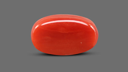 Natural Italian Red Coral (Moonga) 7.28 Carats