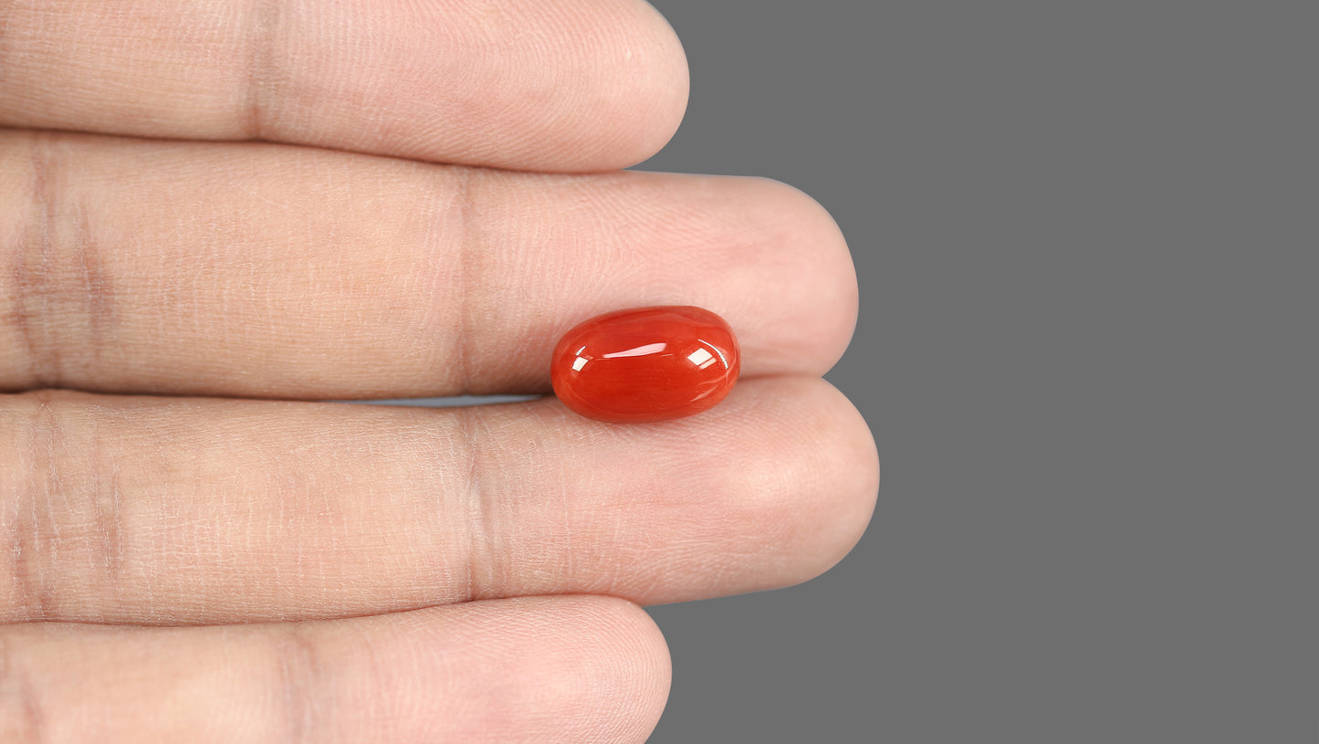 Natural Italian Red Coral (Moonga) 7.28 Carats