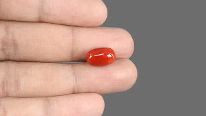 Natural Italian Red Coral (Moonga) 7.28 Carats