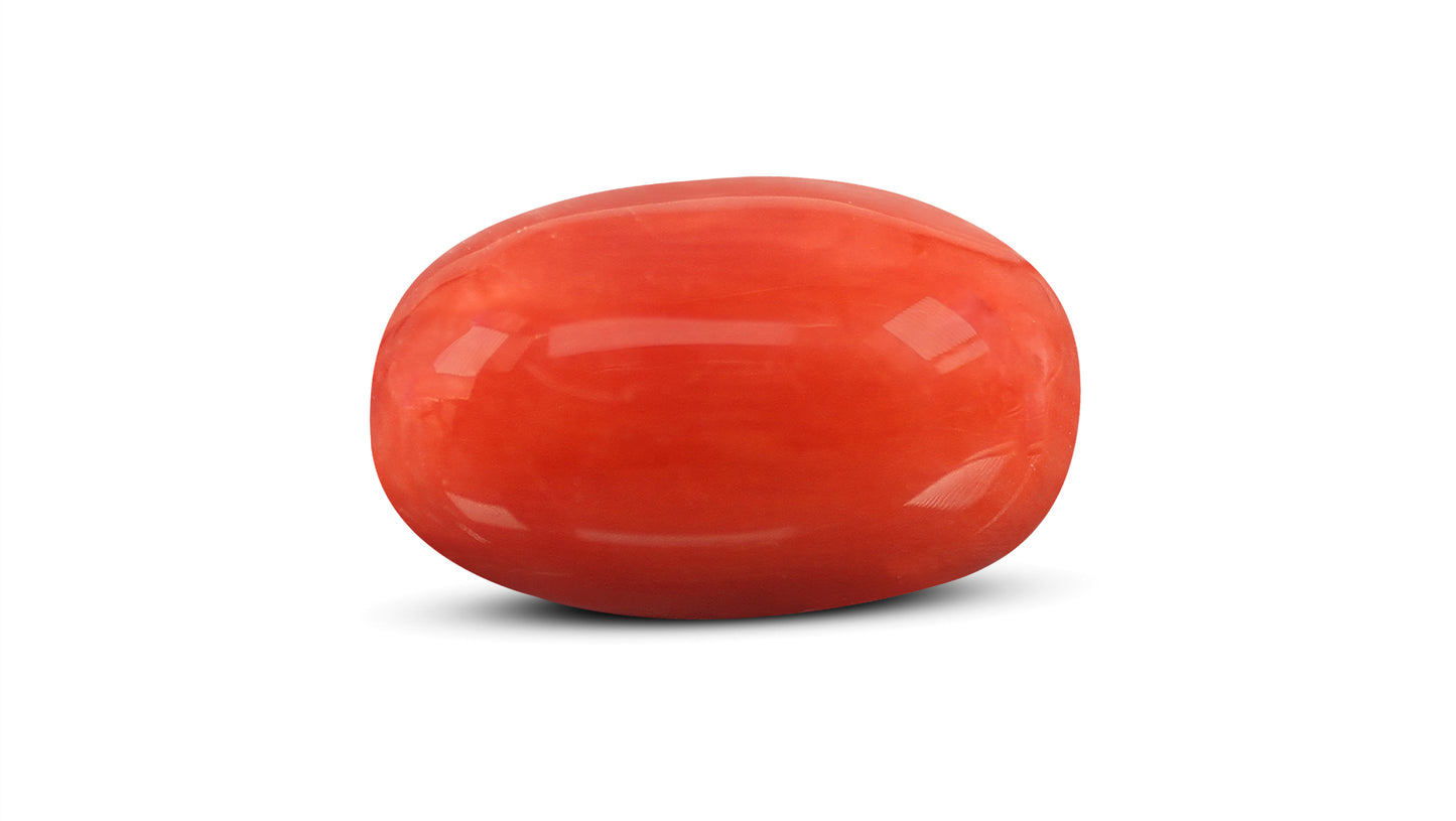 Natural Italian Red Coral (Moonga) 7.28 Carats