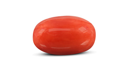 Natural Italian Red Coral (Moonga) 7.28 Carats