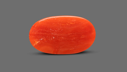 Natural Italian Red Coral (Moonga) 6.98 Carats