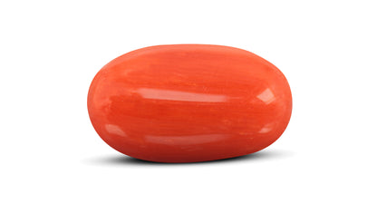 Natural Italian Red Coral (Moonga) 6.98 Carats