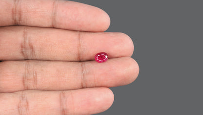 Natural Mozambique Ruby (Manik) 1.66 Carats