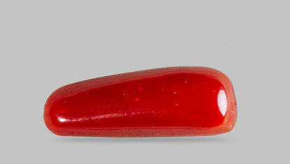 NATURAL RED CORAL (MOONGA) 7.04 CARATS