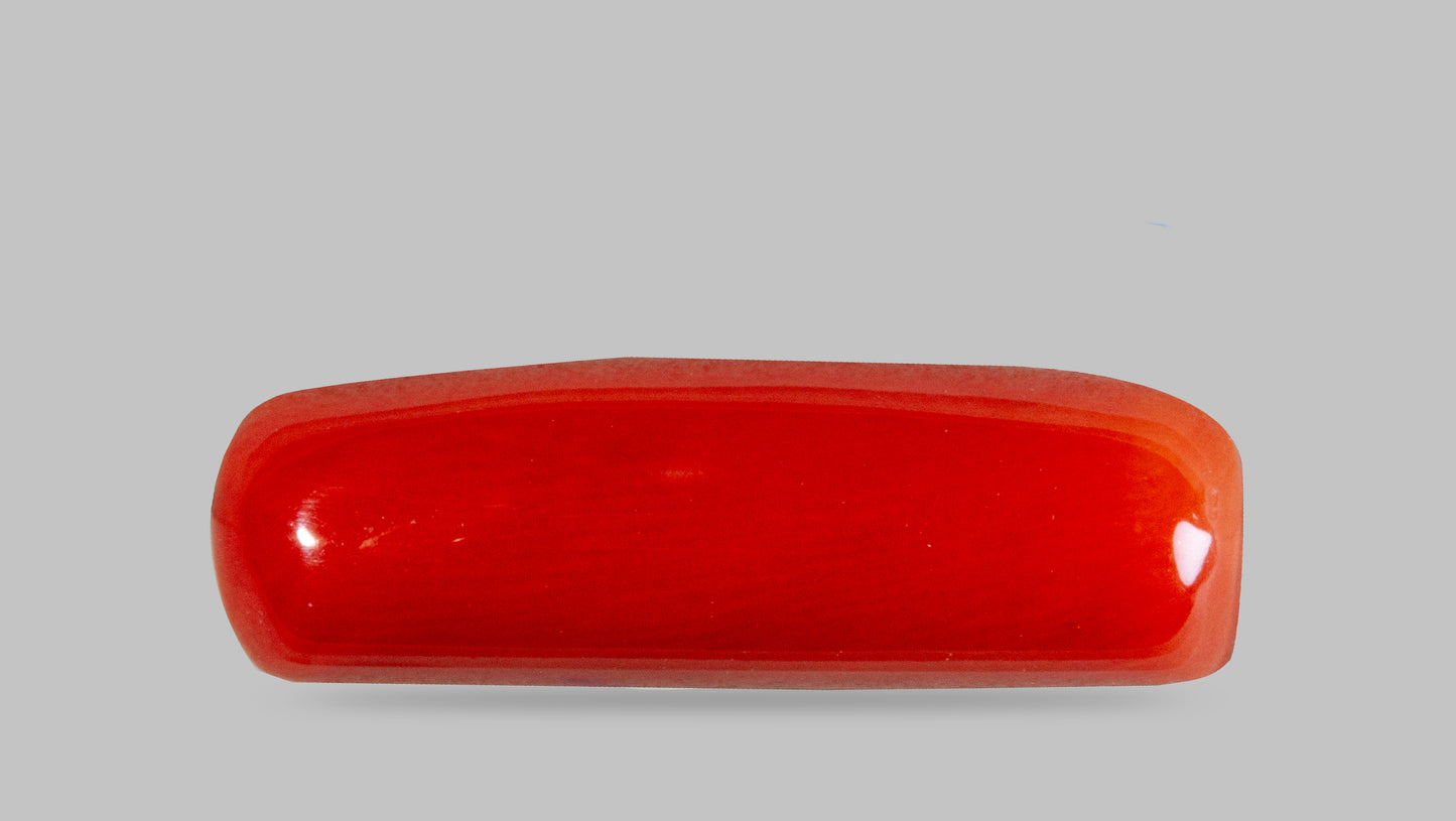 Natural Italian Red Coral (Moonga) 8.59 Carats