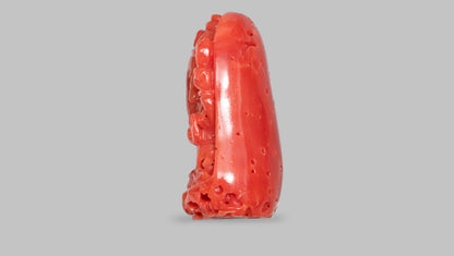 Japanese Ganesh Carving Red Coral(Moonga) 15.67 Carats