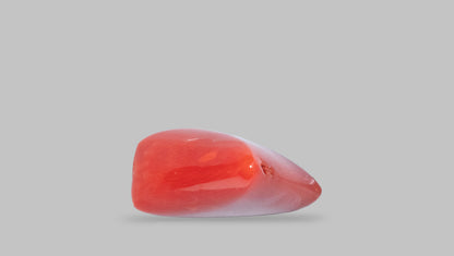 NATURAL RED CORAL (MOONGA) 8.28 CARATS